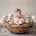 Tips for finding the rightbaby photographer Sidney